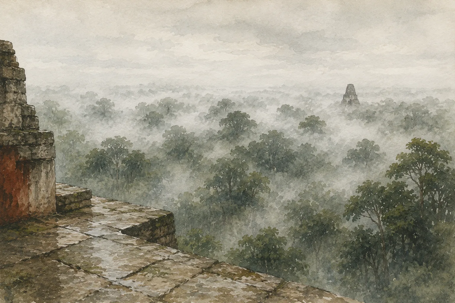 Blick von einer Tempelplattform über ein vollständig im Nebel liegendes Blätterdach